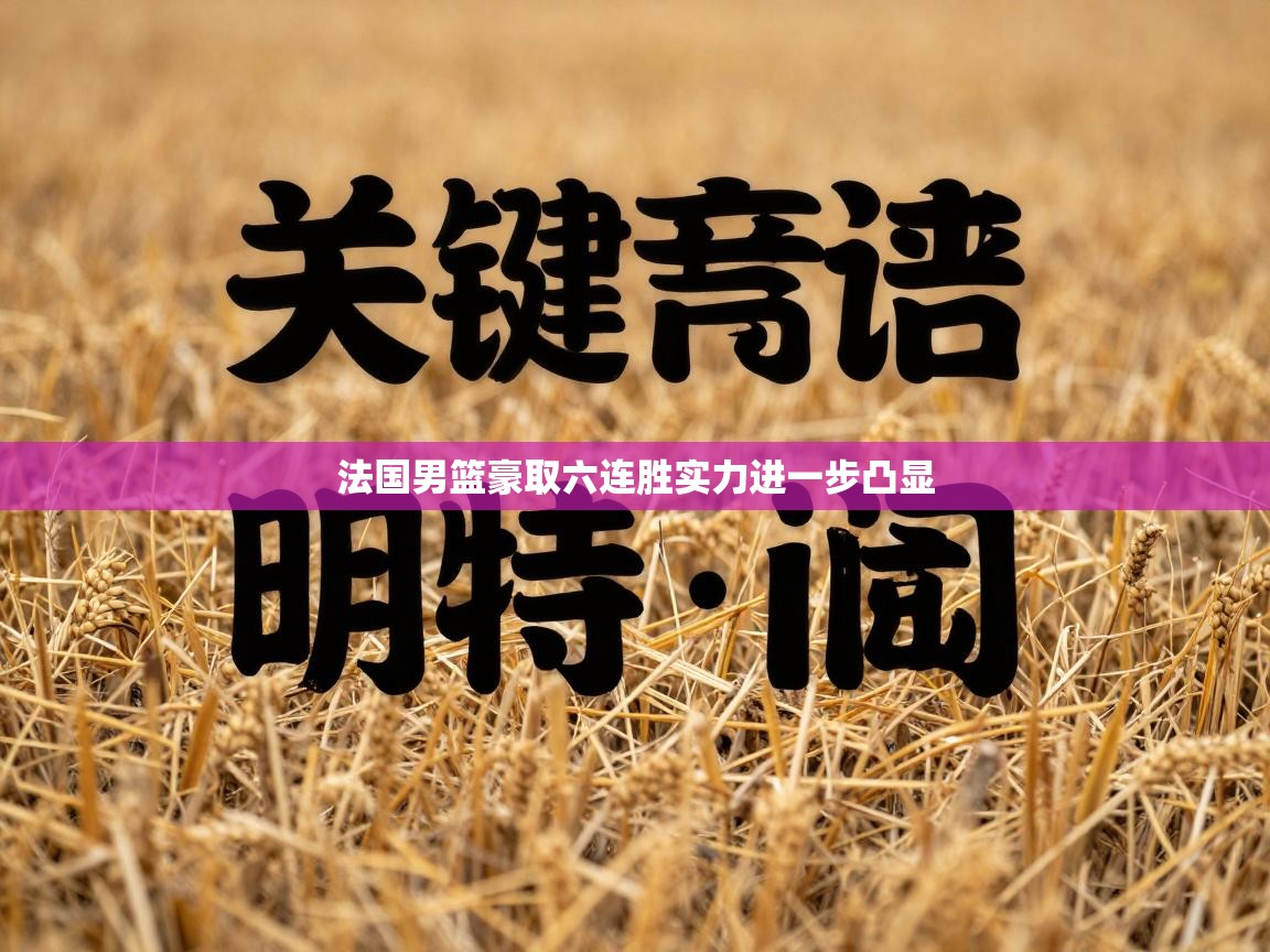 法国男篮豪取六连胜实力进一步凸显 第2张