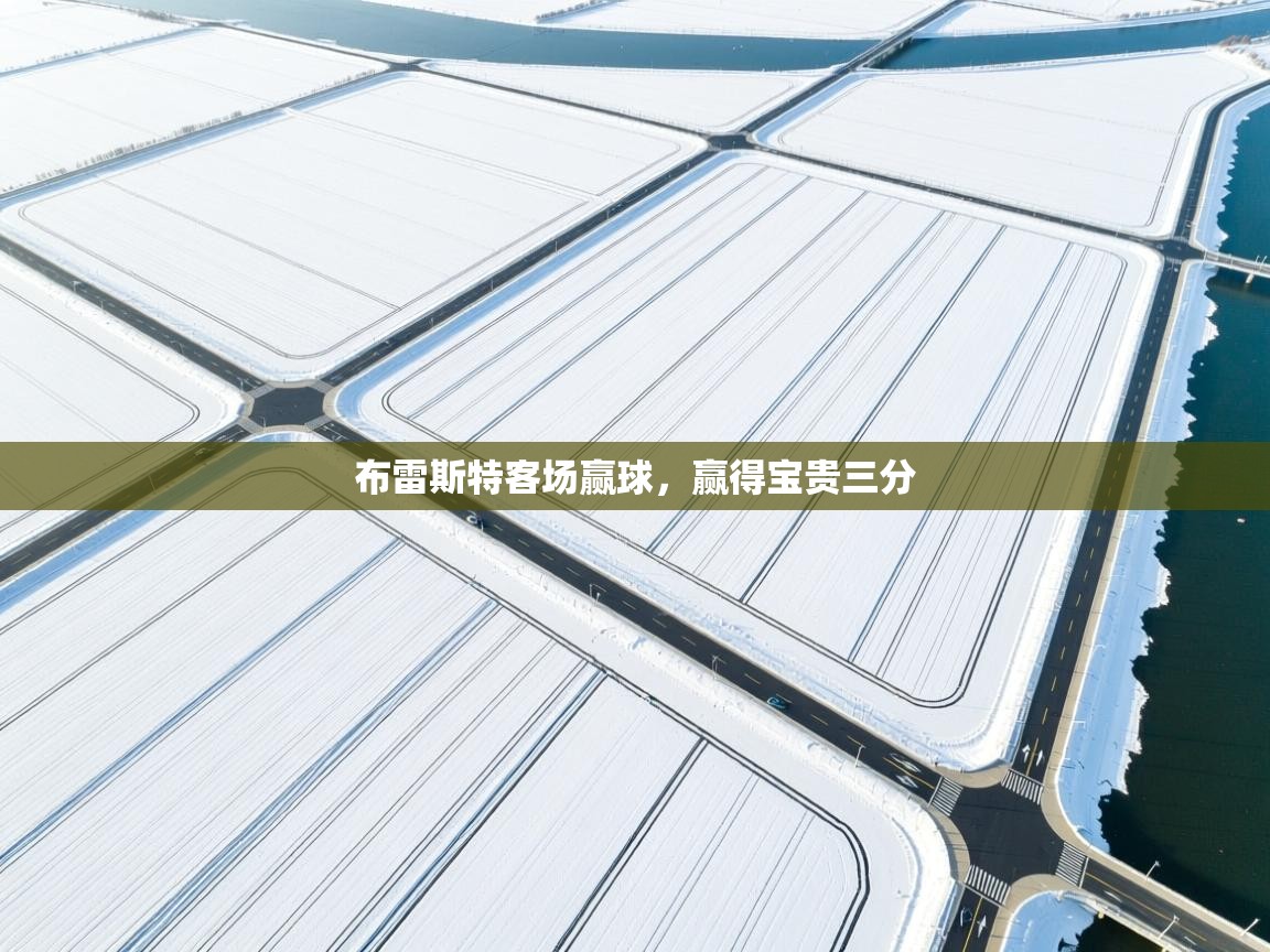 布雷斯特客场赢球,赢得宝贵三分 第1张